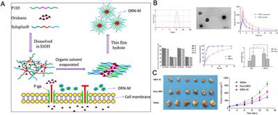 Enhancing cancer therapy: advanced nanovehicle delivery systems for oridonin